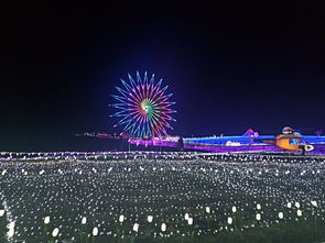 现代科技赋能灯光展 打造沉浸式展览新纪元